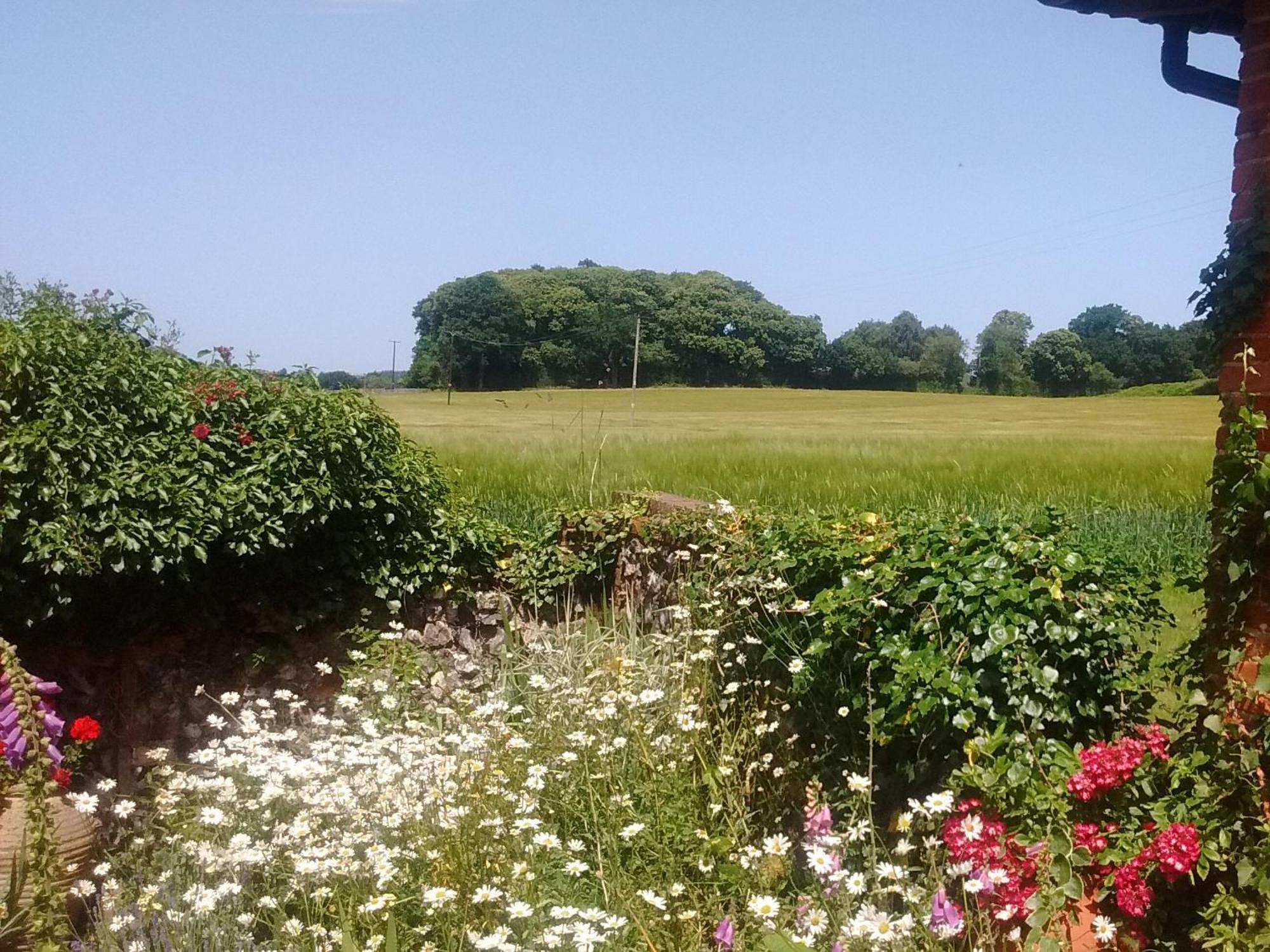 Villa Elm Tree Barn Felmingham Exterior foto